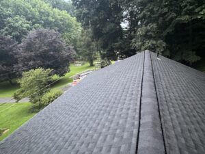 Residential Grey Shingle Roof